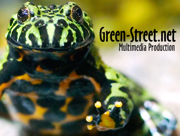 greenstretlogo3.jpg